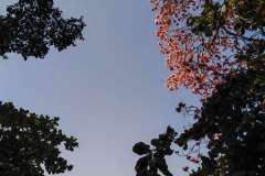 IMG_20190206_103005-1