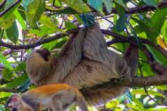 cropped-img_4080