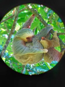 OFFICIAL GUIDE COSTA RICA